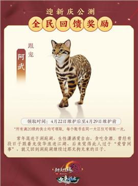 塞外天龙八部私服